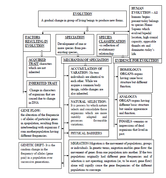 cbse-class-10-science-heredity-and-evolution